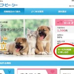 FPC保険のWEBお申込方法｜簡単５分