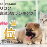 FPC保険はこういう人向きのペット保険｜おすすめの使い方や特徴
